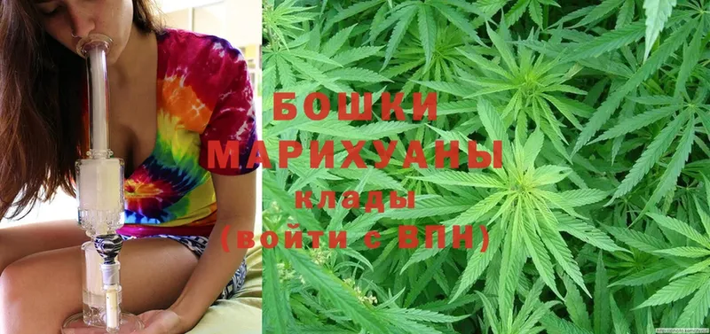 Шишки марихуана семена  Володарск 